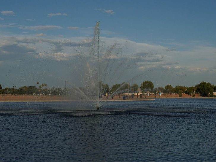 Small wedding ceremony at Glendale Heroes Regional Park in Glendale Arizona