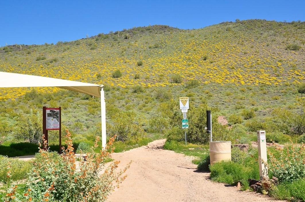 Scenic desert landscape at Thunderbird Conservation Park in Glendale, Arizona